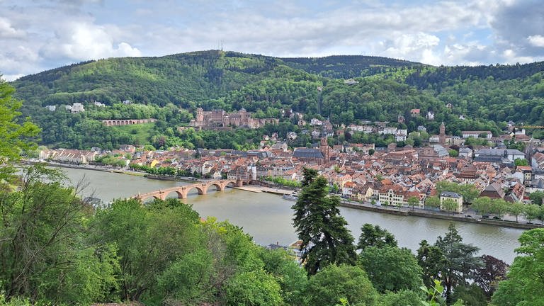 Der Blick auf die Stadt Heidelberg, auf die Brücke und das Schloss vom Philosophenweg aus fotografiert.