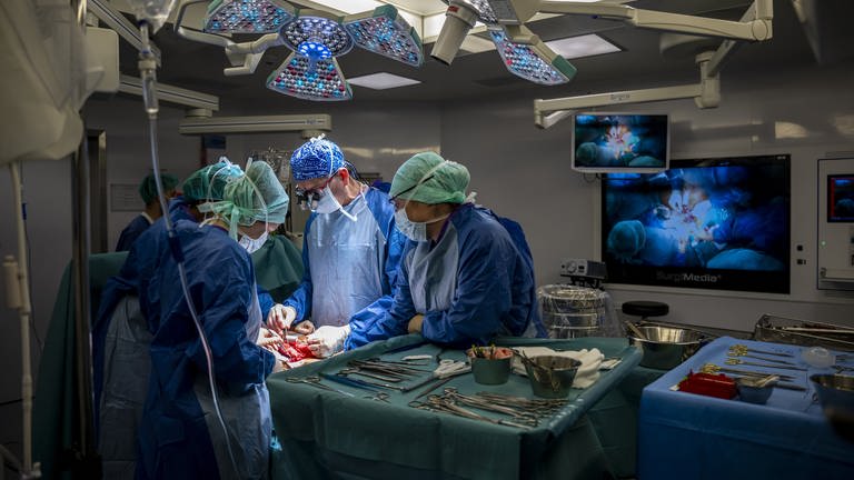 Das Personal eines Operationssaals führt eine Transplantation durch.